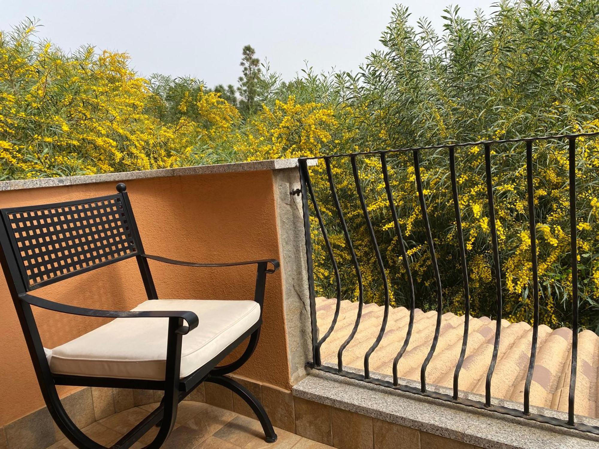 도무스드마리아 Residenza I Ginepri 빌라 외부 사진