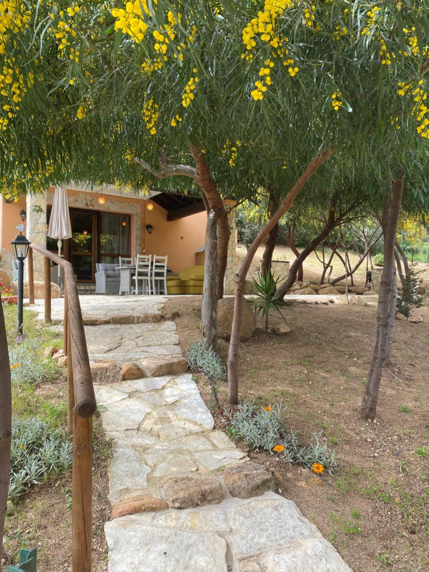 도무스드마리아 Residenza I Ginepri 빌라 외부 사진